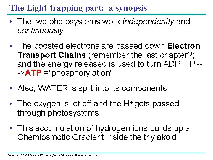 The Light-trapping part: a synopsis • The two photosystems work independently and continuously •
