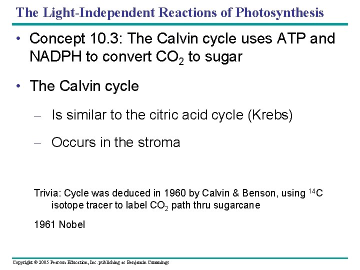 The Light-Independent Reactions of Photosynthesis • Concept 10. 3: The Calvin cycle uses ATP