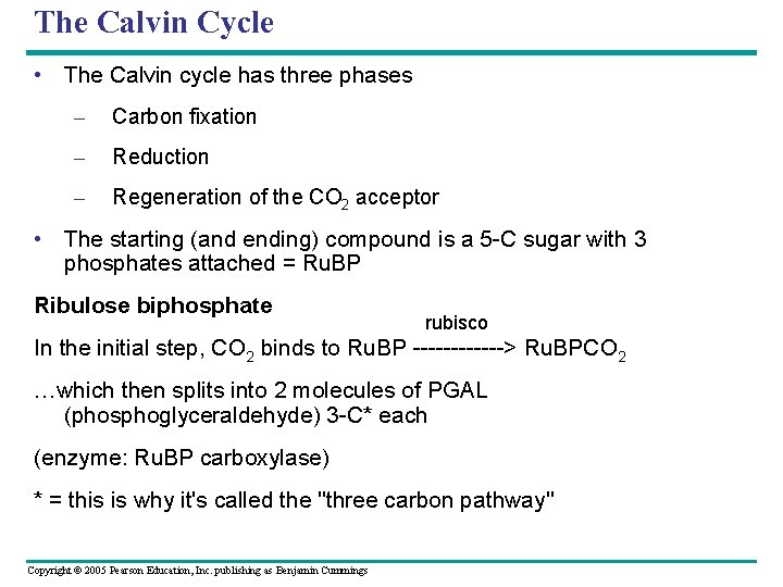 The Calvin Cycle • The Calvin cycle has three phases – Carbon fixation –