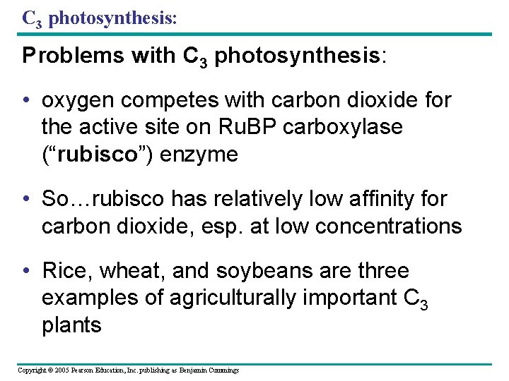 C 3 photosynthesis: Problems with C 3 photosynthesis: • oxygen competes with carbon dioxide