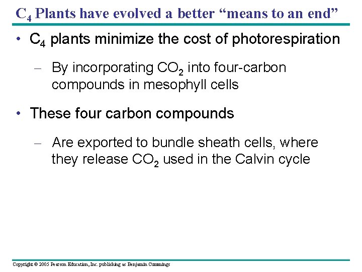 C 4 Plants have evolved a better “means to an end” • C 4