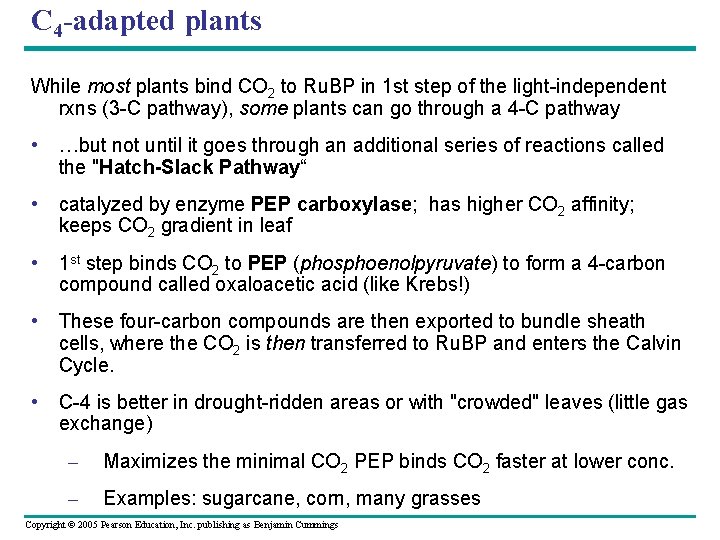 C 4 -adapted plants While most plants bind CO 2 to Ru. BP in