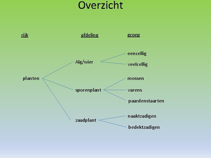 Overzicht rijk afdeling groep eencellig Alg/wier planten veelcellig mossen sporenplant varens paardenstaarten zaadplant naaktzadigen