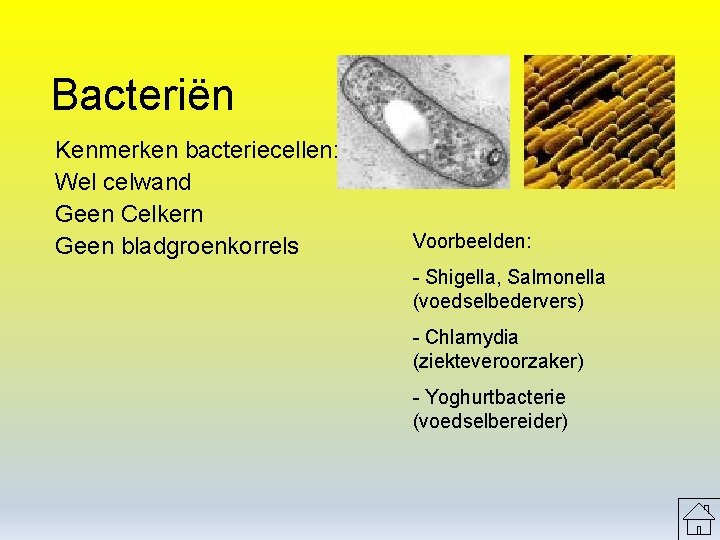Bacteriën Kenmerken bacteriecellen: Wel celwand Geen Celkern Geen bladgroenkorrels Voorbeelden: - Shigella, Salmonella (voedselbedervers)