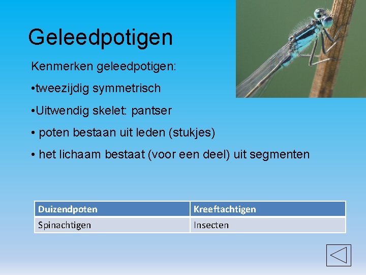 Geleedpotigen Kenmerken geleedpotigen: • tweezijdig symmetrisch • Uitwendig skelet: pantser • poten bestaan uit