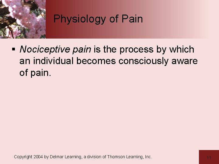 Physiology of Pain § Nociceptive pain is the process by which an individual becomes