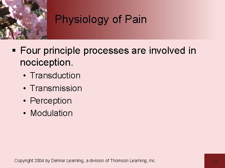 Physiology of Pain § Four principle processes are involved in nociception. • • Transduction