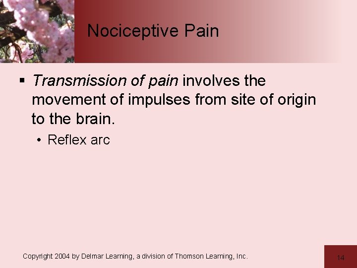 Nociceptive Pain § Transmission of pain involves the movement of impulses from site of