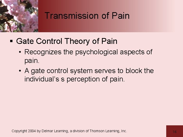 Transmission of Pain § Gate Control Theory of Pain • Recognizes the psychological aspects