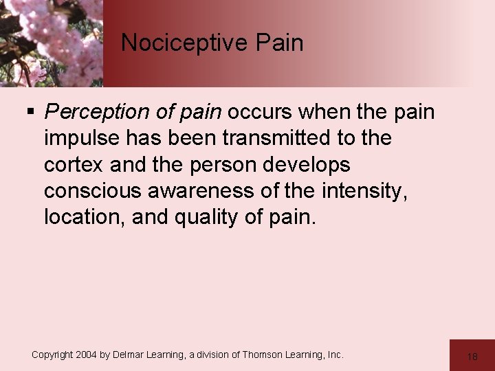 Nociceptive Pain § Perception of pain occurs when the pain impulse has been transmitted