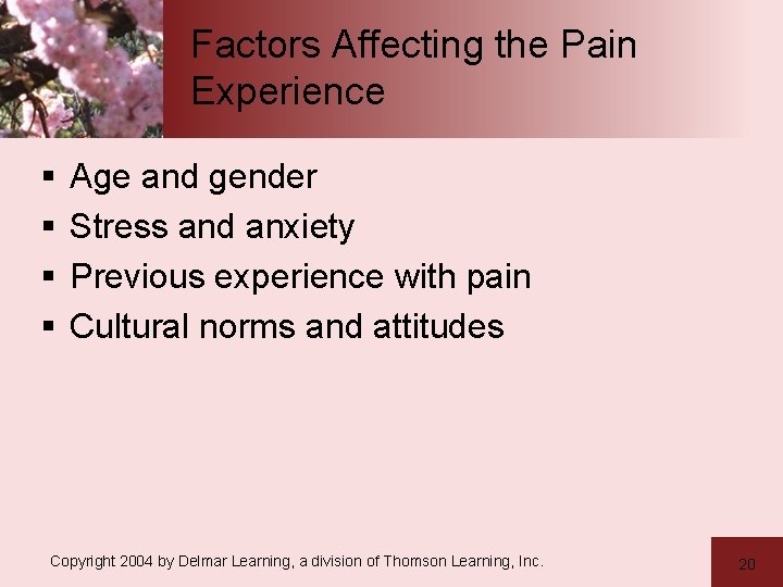 Factors Affecting the Pain Experience § § Age and gender Stress and anxiety Previous
