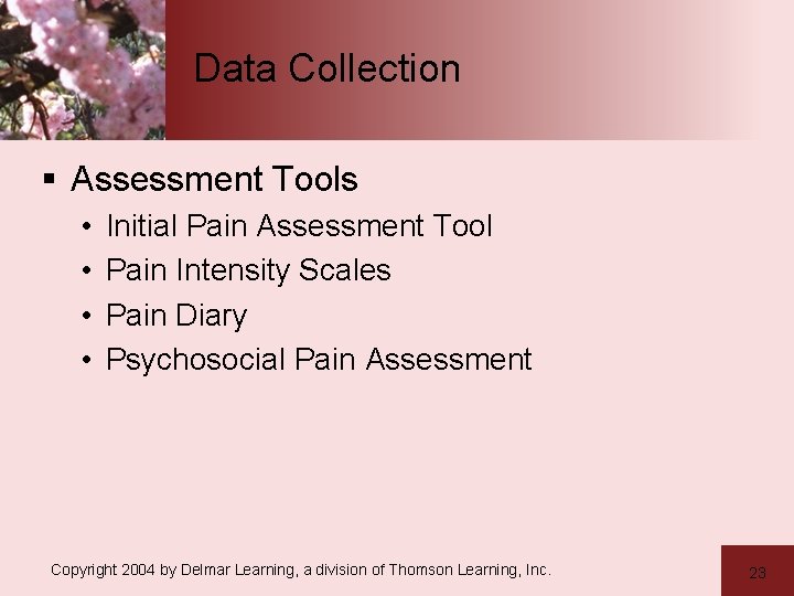 Data Collection § Assessment Tools • • Initial Pain Assessment Tool Pain Intensity Scales