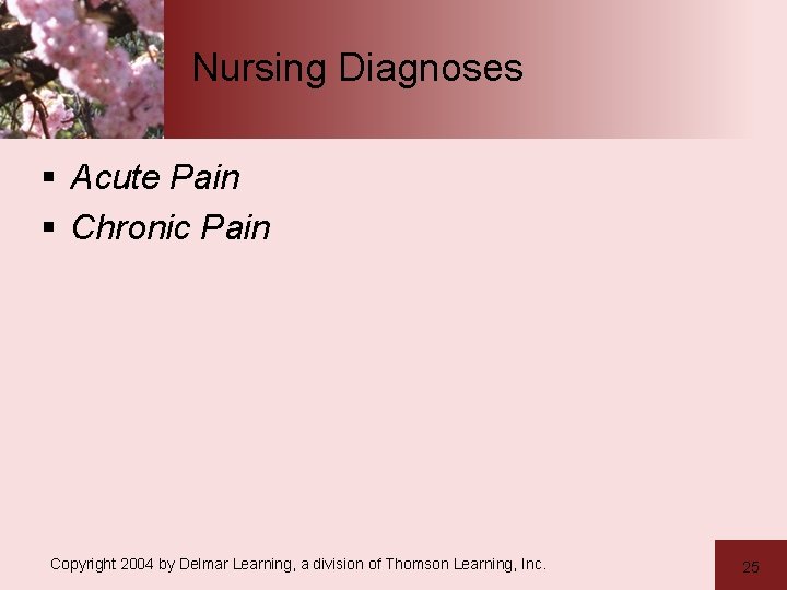 Nursing Diagnoses § Acute Pain § Chronic Pain Copyright 2004 by Delmar Learning, a