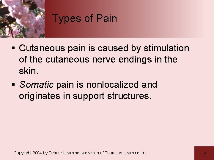 Types of Pain § Cutaneous pain is caused by stimulation of the cutaneous nerve