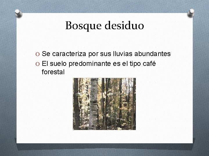 Bosque desiduo O Se caracteriza por sus lluvias abundantes O El suelo predominante es