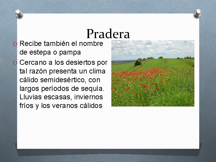 Pradera O Recibe también el nombre de estepa o pampa O Cercano a los