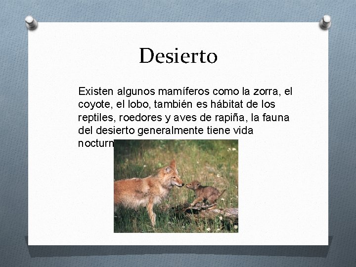 Desierto Existen algunos mamíferos como la zorra, el coyote, el lobo, también es hábitat