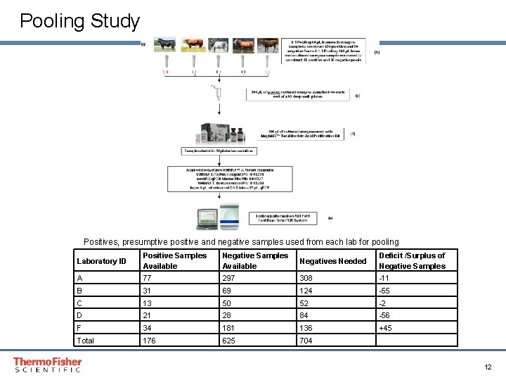 Pooling Study Positives, presumptive positive and negative samples used from each lab for pooling