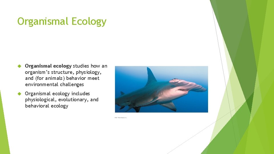 Organismal Ecology Organismal ecology studies how an organism’s structure, physiology, and (for animals) behavior