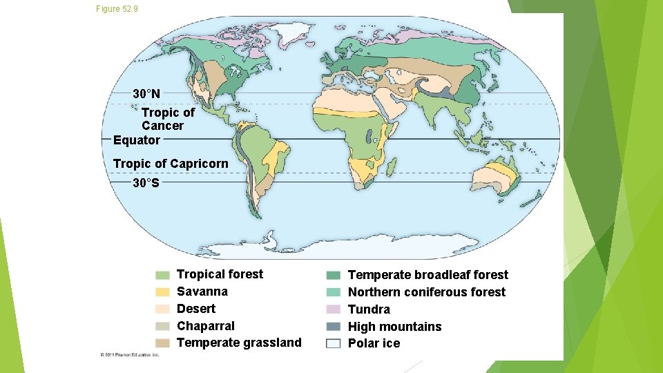Figure 52. 9 30°N Tropic of Cancer Equator Tropic of Capricorn 30°S Tropical forest