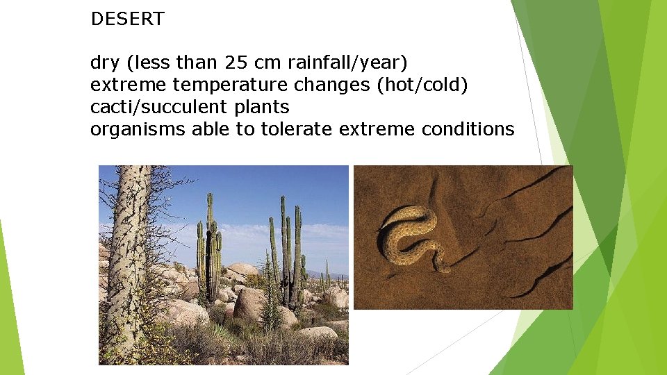 DESERT dry (less than 25 cm rainfall/year) extreme temperature changes (hot/cold) cacti/succulent plants organisms