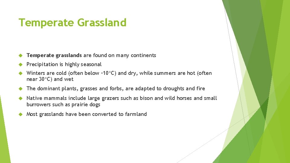Temperate Grassland Temperate grasslands are found on many continents Precipitation is highly seasonal Winters