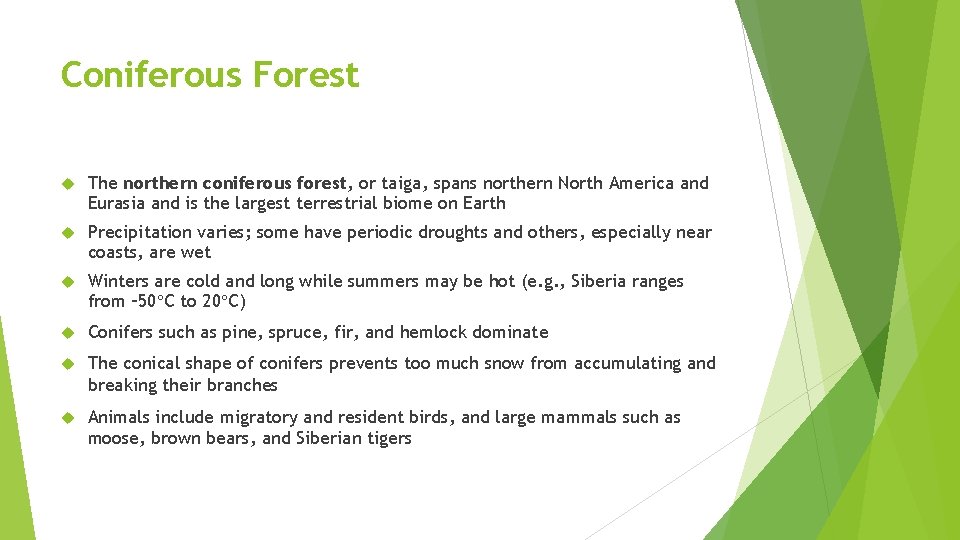 Coniferous Forest The northern coniferous forest, or taiga, spans northern North America and Eurasia