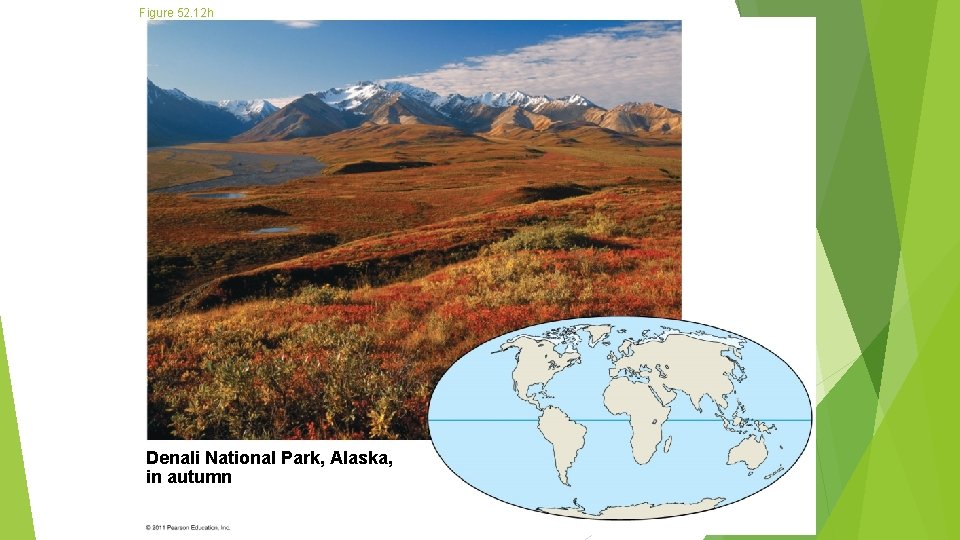 Figure 52. 12 h Denali National Park, Alaska, in autumn 