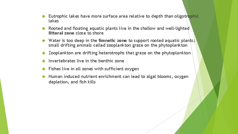  Eutrophic lakes have more surface area relative to depth than oligotrophic lakes Rooted