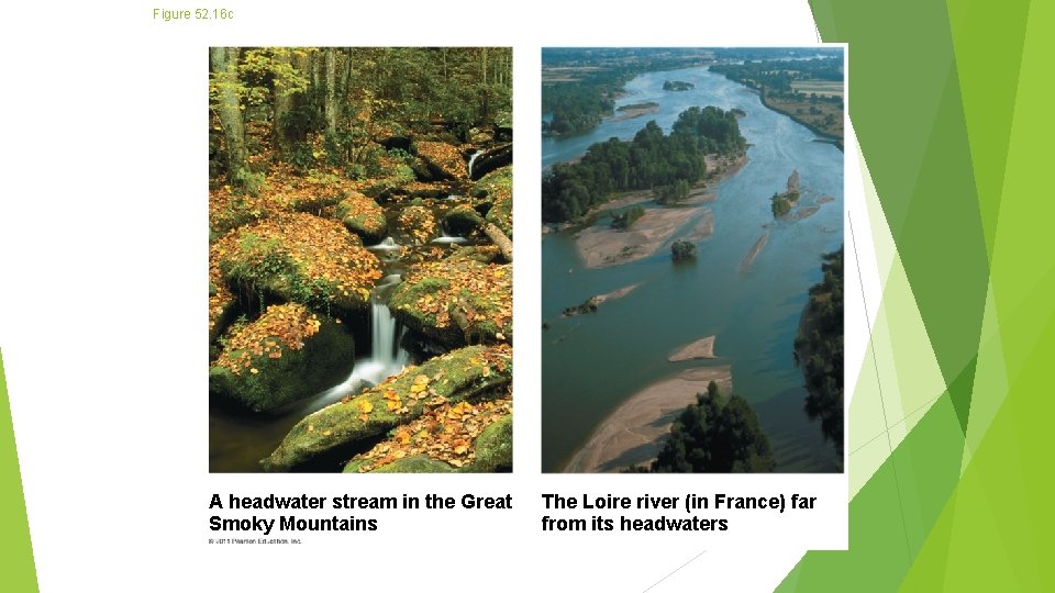 Figure 52. 16 c A headwater stream in the Great Smoky Mountains The Loire