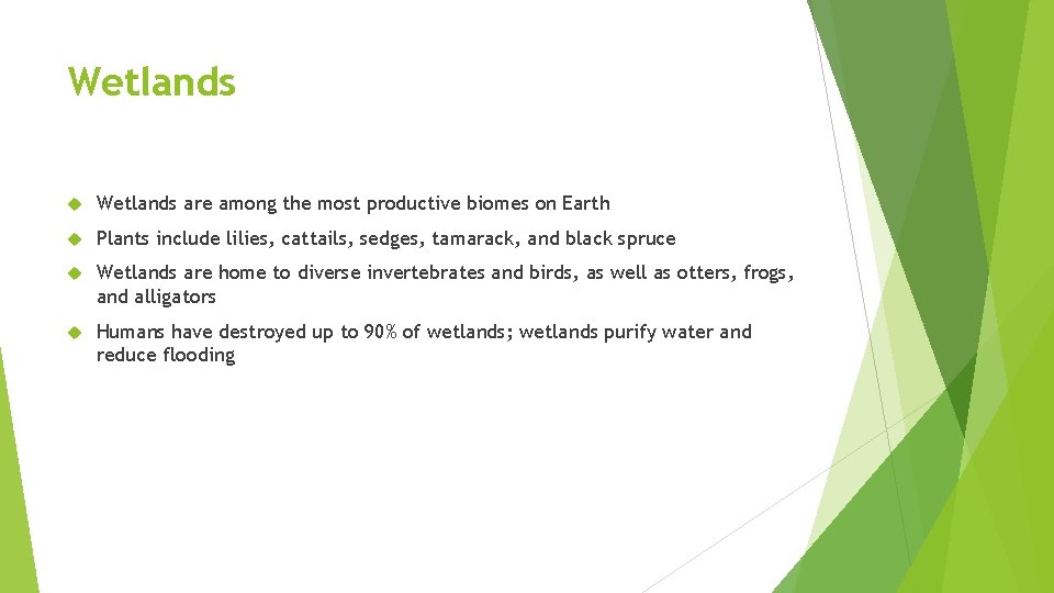 Wetlands are among the most productive biomes on Earth Plants include lilies, cattails, sedges,