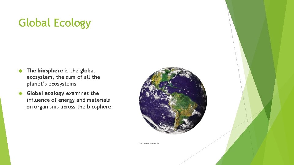 Global Ecology The biosphere is the global ecosystem, the sum of all the planet’s
