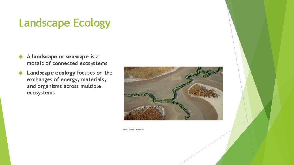 Landscape Ecology A landscape or seascape is a mosaic of connected ecosystems Landscape ecology