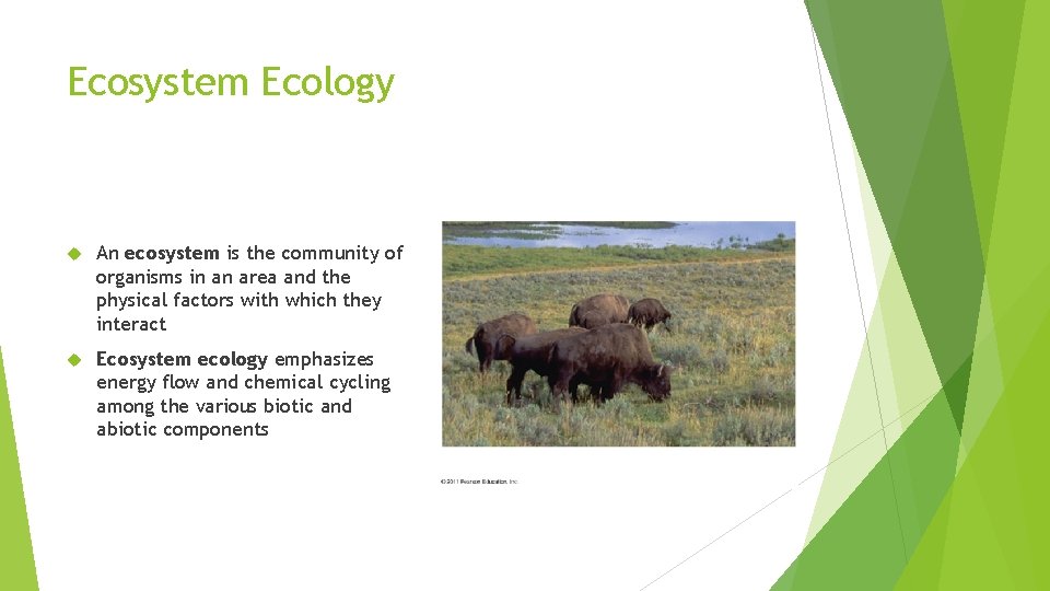 Ecosystem Ecology An ecosystem is the community of organisms in an area and the