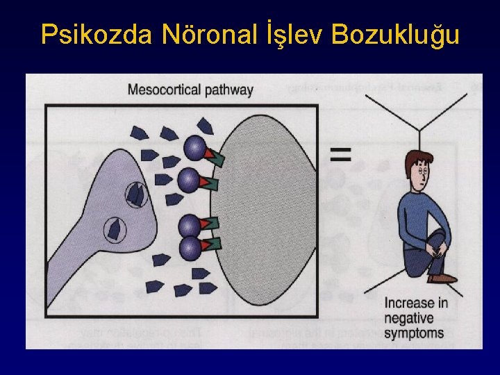 Psikozda Nöronal İşlev Bozukluğu 