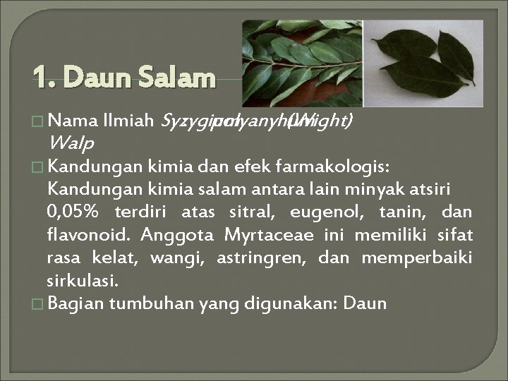 1. Daun Salam � Nama Ilmiah Walp Syzygium : polyanyhum (Wight) � Kandungan kimia