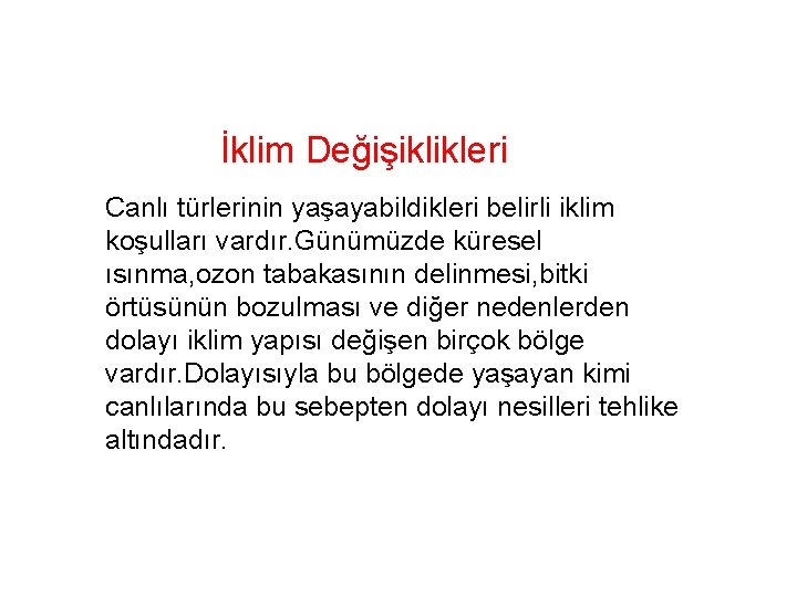 İklim Değişiklikleri Canlı türlerinin yaşayabildikleri belirli iklim koşulları vardır. Günümüzde küresel ısınma, ozon tabakasının