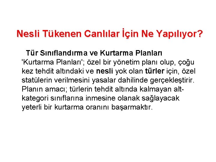 Nesli Tükenen Canlılar İçin Ne Yapılıyor? Tür Sınıflandırma ve Kurtarma Planları 'Kurtarma Planları'; özel