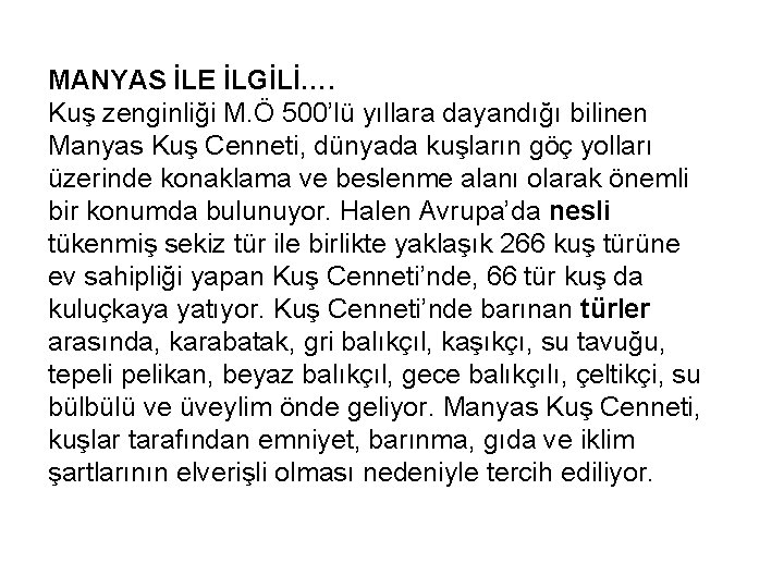 MANYAS İLE İLGİLİ…. Kuş zenginliği M. Ö 500’lü yıllara dayandığı bilinen Manyas Kuş Cenneti,