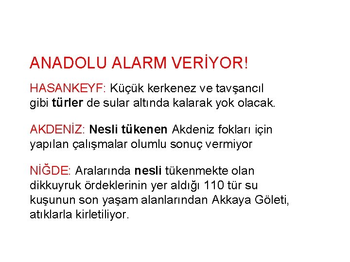 ANADOLU ALARM VERİYOR! HASANKEYF: Küçük kerkenez ve tavşancıl gibi türler de sular altında kalarak