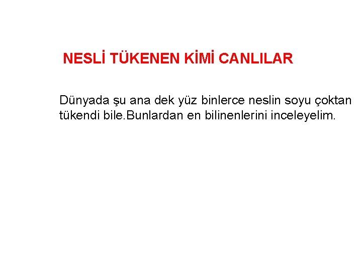 NESLİ TÜKENEN KİMİ CANLILAR Dünyada şu ana dek yüz binlerce neslin soyu çoktan tükendi
