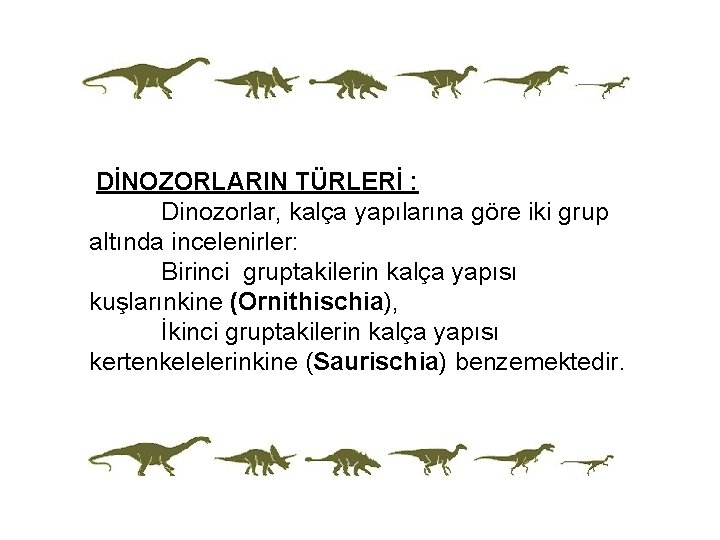  DİNOZORLARIN TÜRLERİ : Dinozorlar, kalça yapılarına göre iki grup altında incelenirler: Birinci gruptakilerin