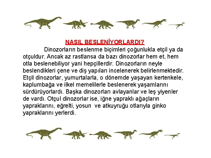  NASIL BESLENİYORLARDI? Dinozorların beslenme biçimleri çoğunlukla etçil ya da otçuldur. Ancak az rastlansa