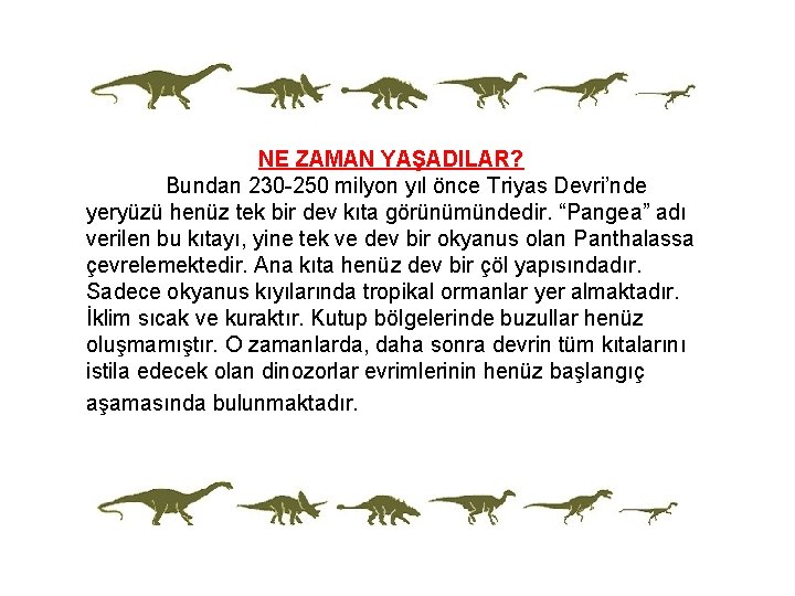 NE ZAMAN YAŞADILAR? Bundan 230 -250 milyon yıl önce Triyas Devri’nde yeryüzü henüz tek