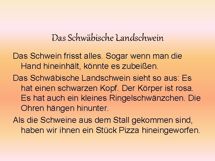 Das Schwäbische Landschwein Das Schwein frisst alles. Sogar wenn man die Hand hineinhält, könnte