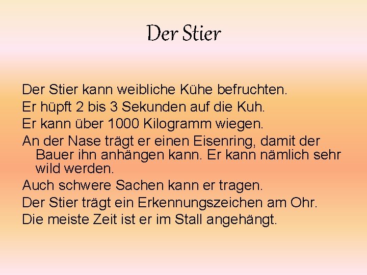 Der Stier kann weibliche Kühe befruchten. Er hüpft 2 bis 3 Sekunden auf die