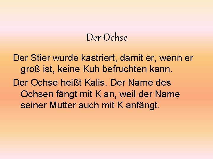 Der Ochse Der Stier wurde kastriert, damit er, wenn er groß ist, keine Kuh