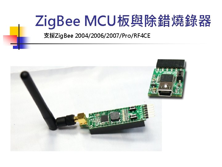 Zig. Bee MCU板與除錯燒錄器 支援Zig. Bee 2004/2006/2007/Pro/RF 4 CE 