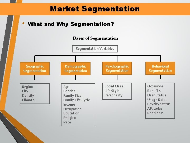 Market Segmentation • What and Why Segmentation? Bases of Segmentation Variables Geographic Segmentation Region