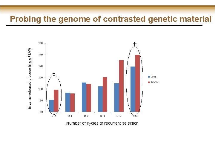 Probing the genome of contrasted genetic material Enzyme-released glucose (mg g-1 DW) + -